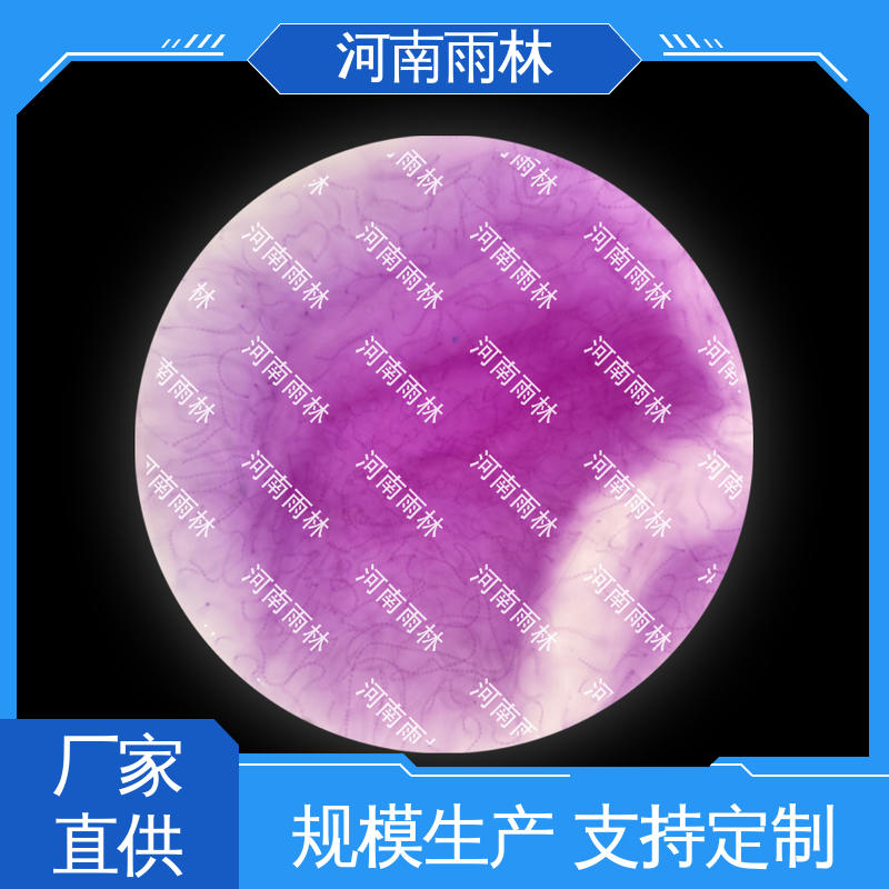 个性化定做 细胞清晰 质量优 植物切片 雨林教育