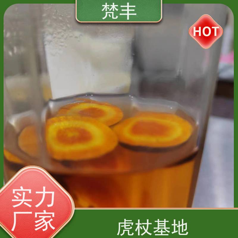 梵丰 虎杖种植技术 现挖 好种 易成活 长期供应 诚信经营