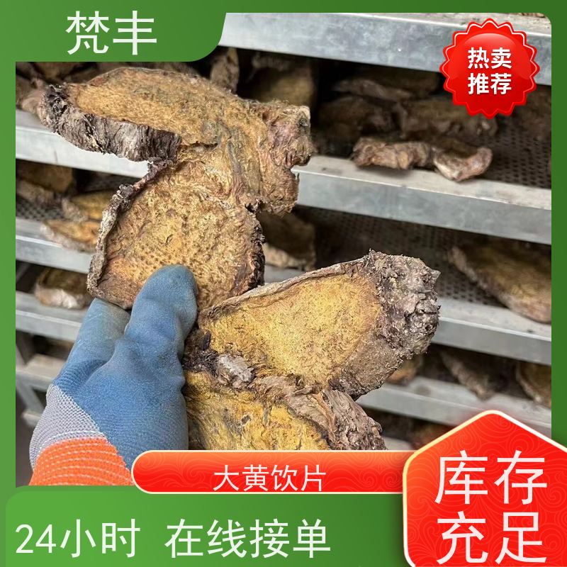 梵丰 大黄用途 中药材苗容易种活 库存充足 厂家供应