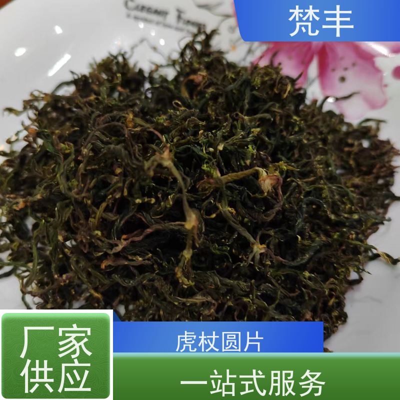 梵丰 虎杖驯化技术 手选大片原材料 欢迎来电洽谈