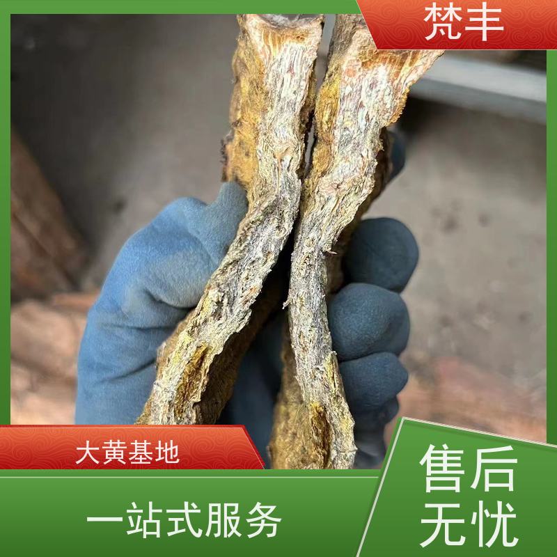 梵丰 大黄施肥 手选大片原材料 长期供应 诚信经营