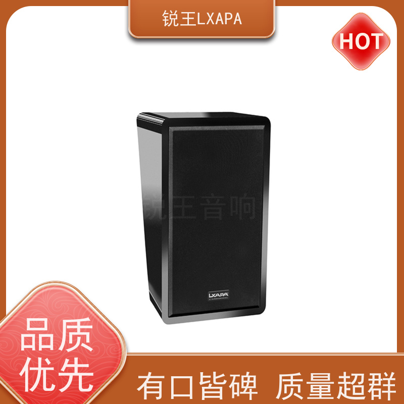 锐王LXAPA 演出音响 数字功放 视频会议音柱 全频线阵音箱 