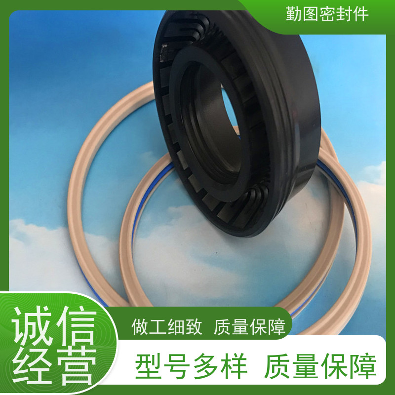 勤图 PEEK泛塞封 可应用于各种高温腐蚀流体的场合 规格齐全