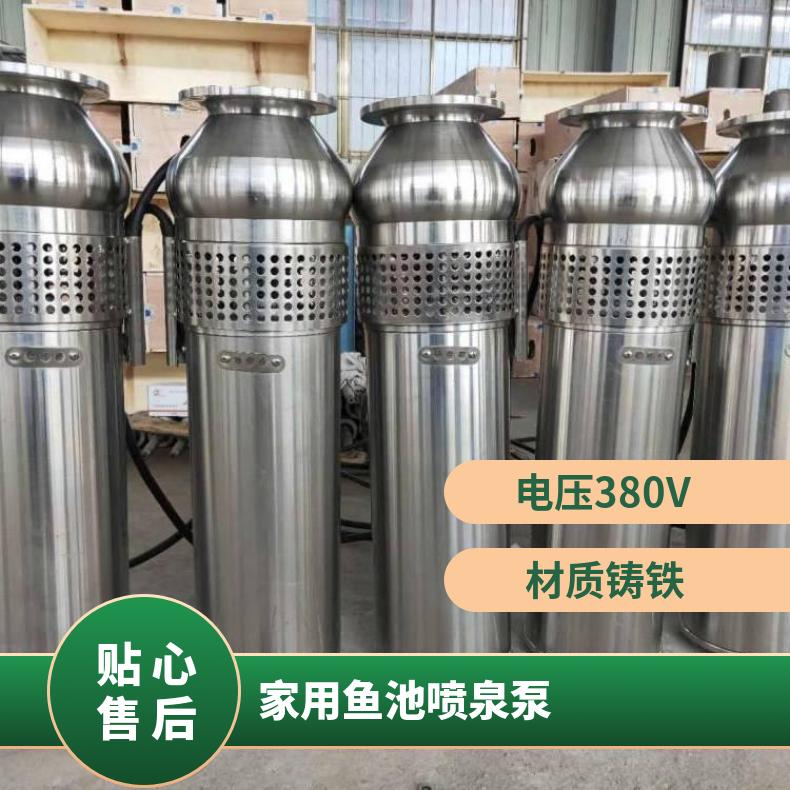 QSP65-134鱼池喷泉泵 单叶轮 电动 卧式 10m~60m 不阻塞 清水泵