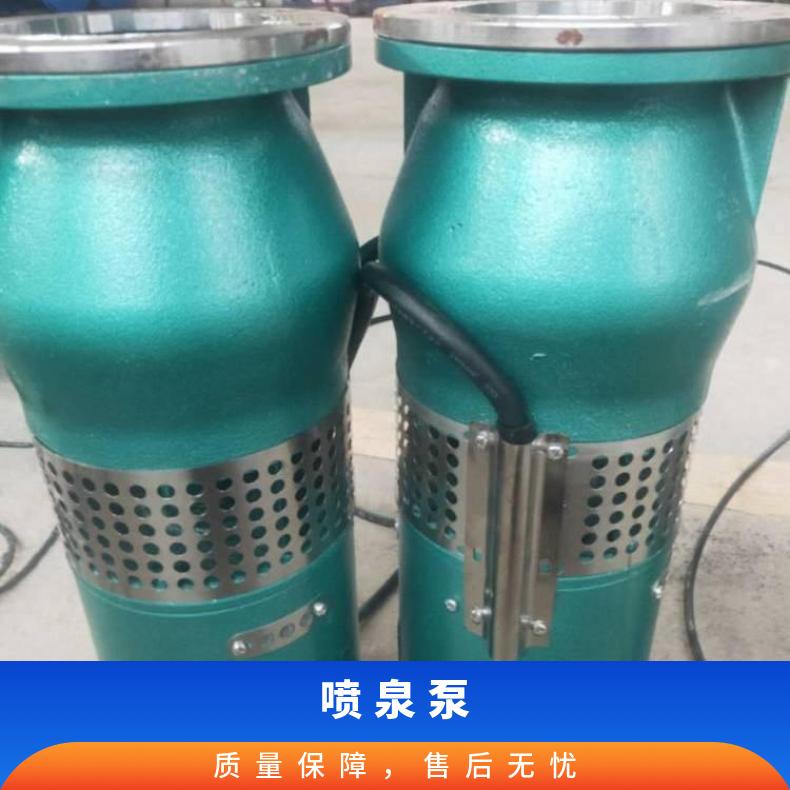 型号 QSP不锈钢喷泉泵 10m~60m 不阻塞 清水泵 单叶轮 电动 卧式