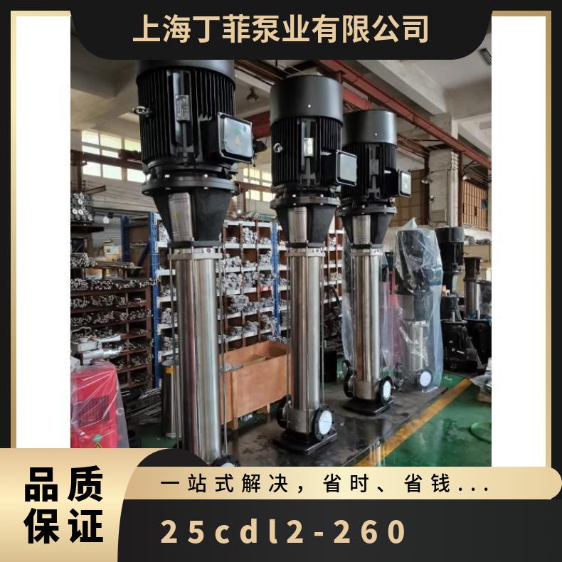 25CDL2-260 高扬程增压离心泵 铸铁 常温 CDLCDLF 丁菲泵业 其他