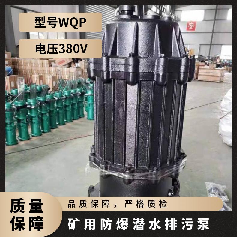 QW120-1302015 潜水排污泵生产厂家 电动 边立式 不阻塞 10m~60m