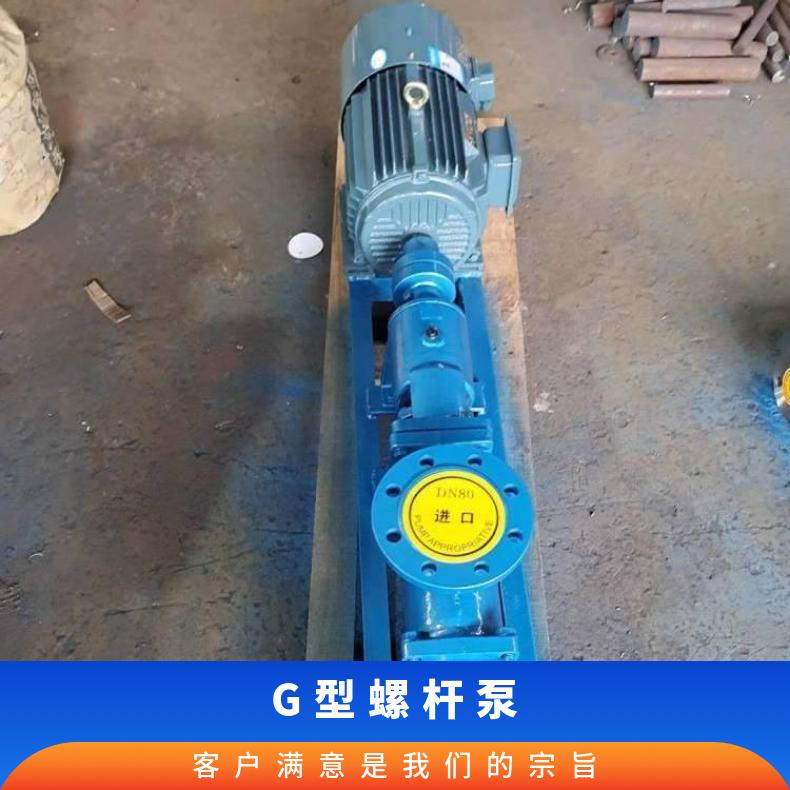 G25-2 型卧式污泥螺杆 不阻塞 电动 10m~60m 排污泵 边立式