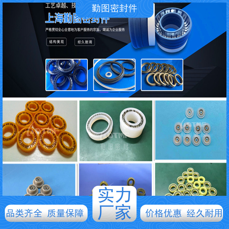  诺信7200581泛塞封 耐磨,耐压,耐腐蚀,耐高温 支持定制