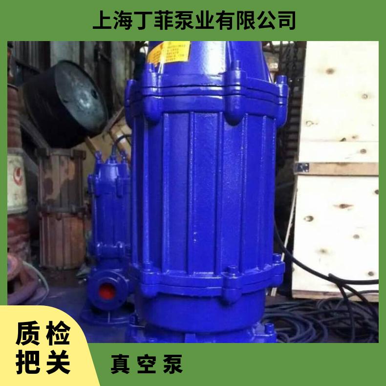WQ500-260015160 潜水排污泵原理 10m~60m 电动 不阻塞 边立式