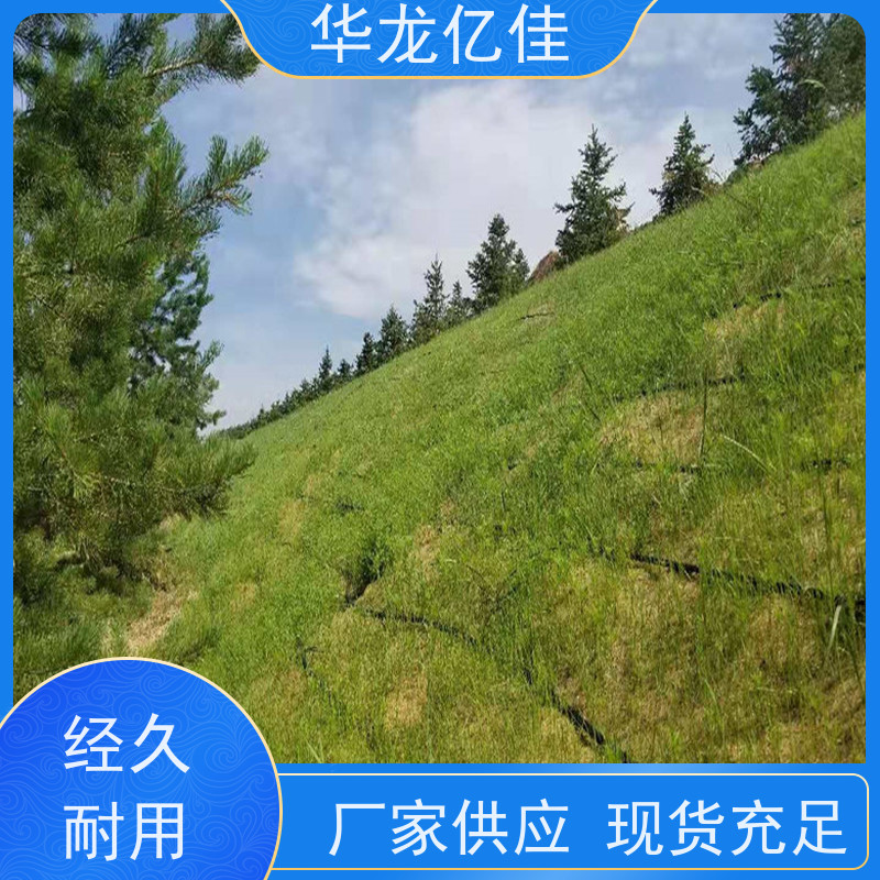 全新 公路边坡防护毯 荒漠治理植被固土 华龙亿佳供应