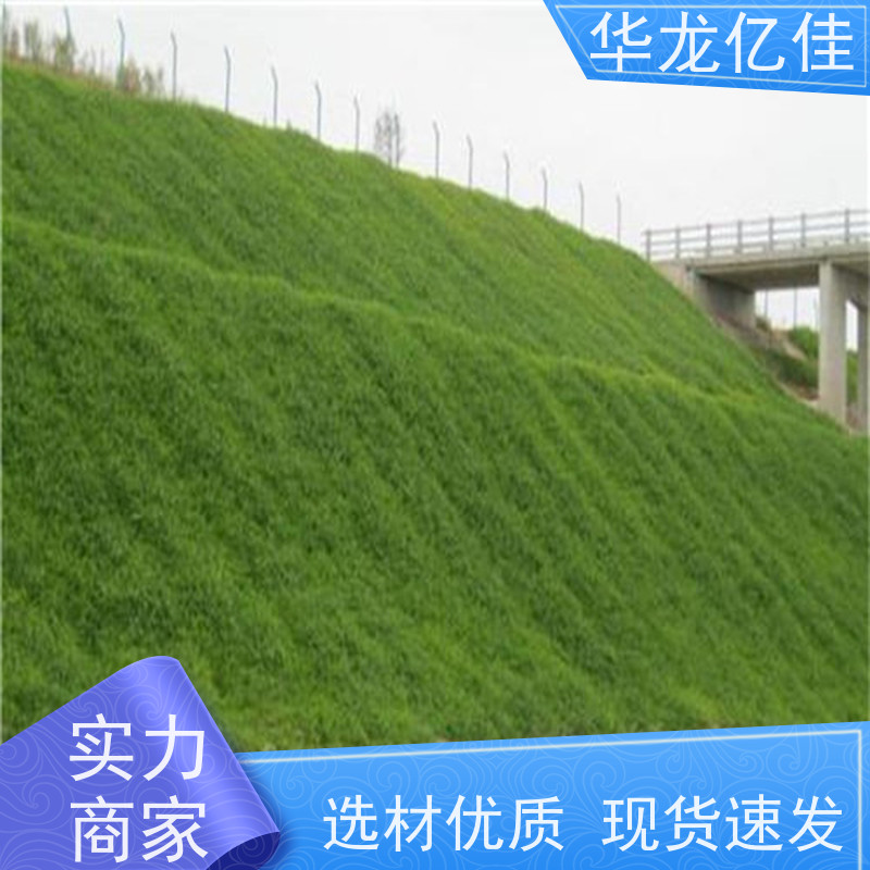销售 植物纤维毯 河道护坡绿化植草毯 华龙亿佳供应