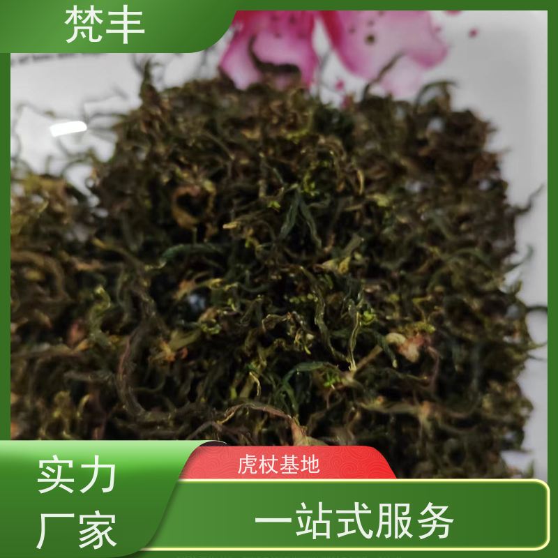 梵丰 虎杖片 原产地 种植基地 库存充足 厂家供应