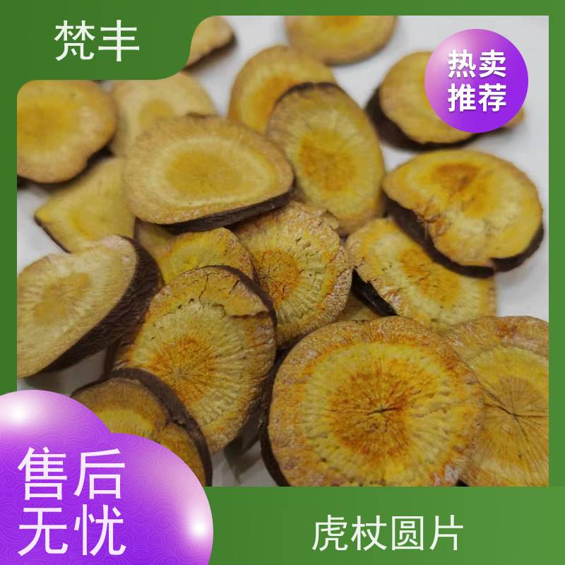 梵丰 虎杖驯化技术 现挖 好种 易成活 欢迎来电洽谈