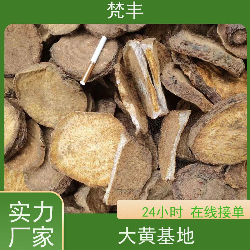 梵丰 大黄种植技术 手选大片原材料 长期供应 诚信经营