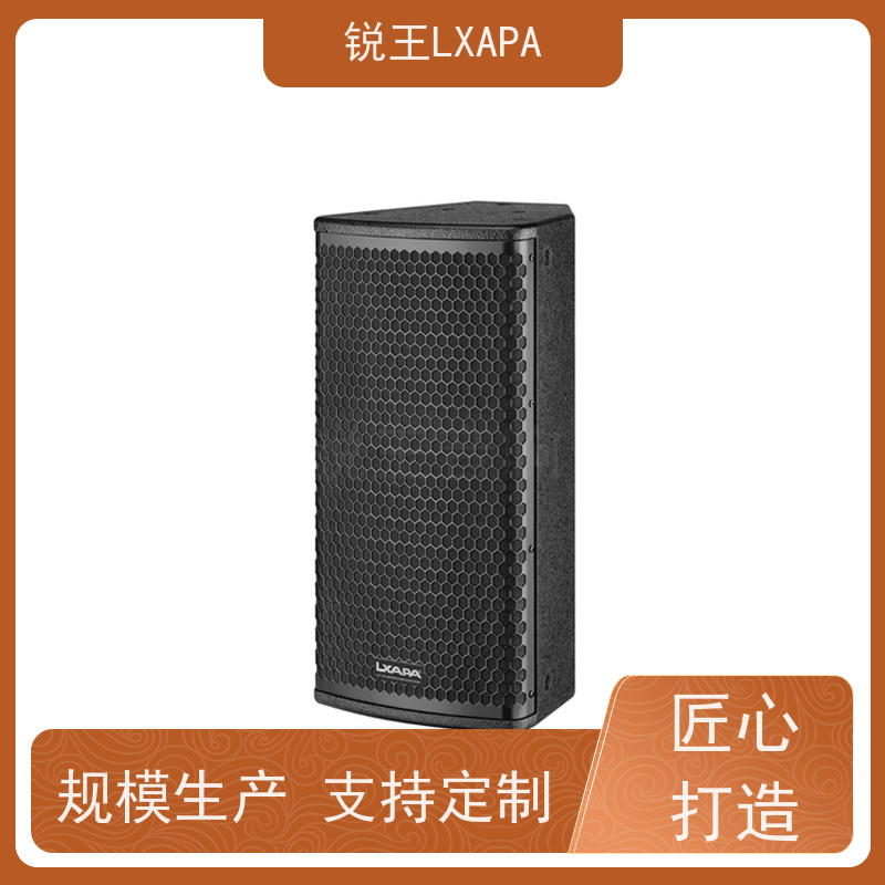 锐王LXAPA 数字功放 会议室壁挂音箱 晚会音响设备 可调指向声柱