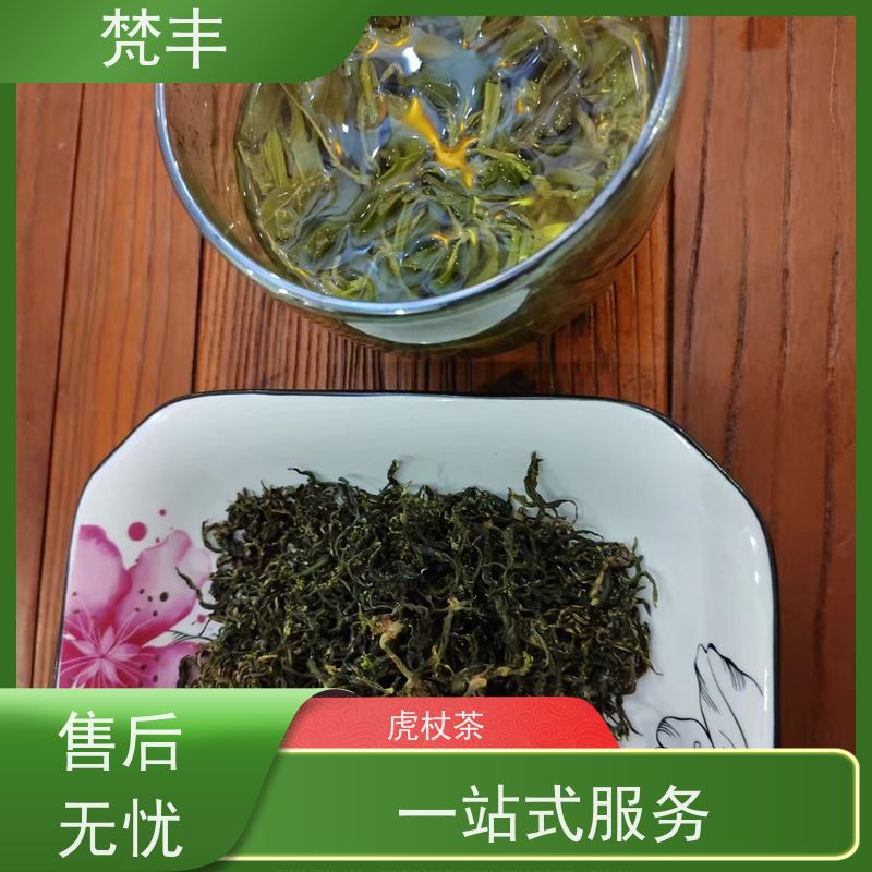 梵丰 虎杖管理方法 中药材苗容易种活 在线接单 物流配送 