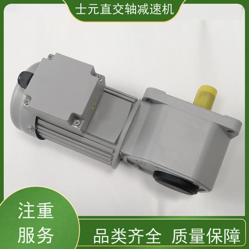 士元SHIYUAN 凸轮分割器 中空直角减速机 G100A-100W 厂家供货