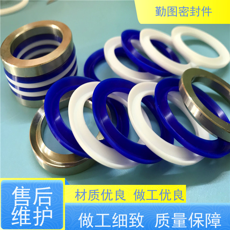  喷射阀泛塞圈 确保各种机械设备和容器的密封性能 安装方便 拆装便捷