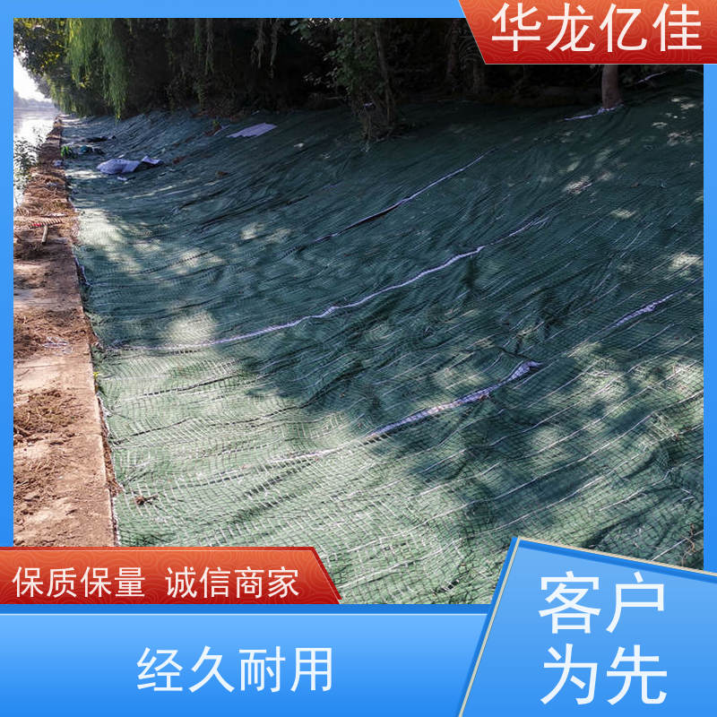 特价 加筋抗冲毯 河道护坡绿化植草毯 华龙亿佳供应
