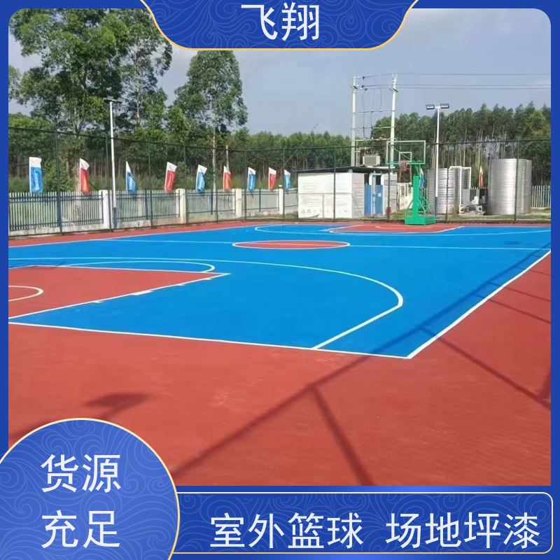 惠东县大岭 梁化 白花篮球场地坪漆定制施工 色彩可自选 按需搭配