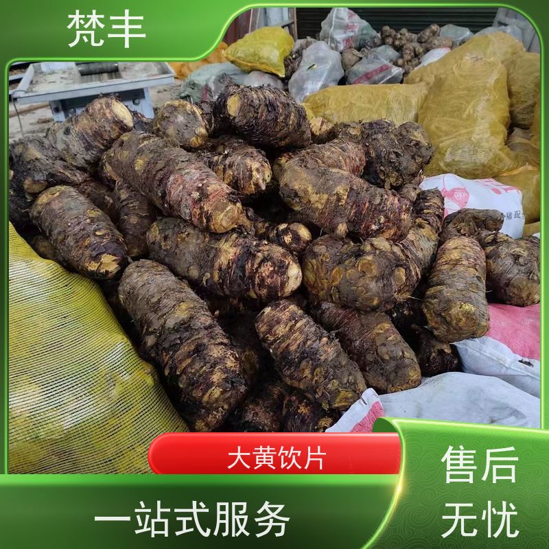 梵丰 大黄饮片 现挖 好种 易成活 长期供应 诚信经营