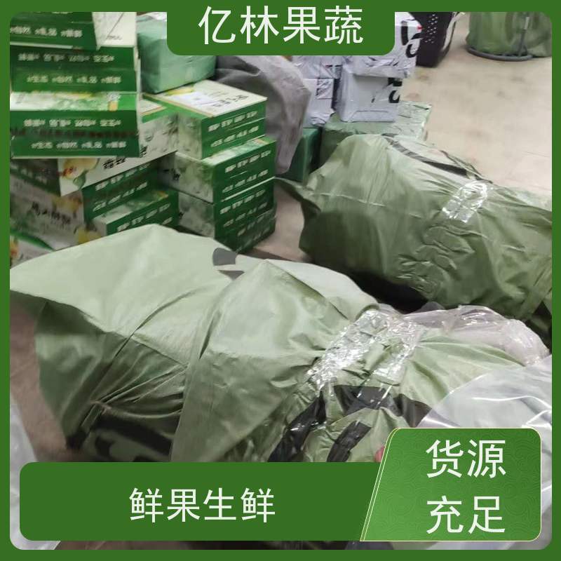 基地供应 黄桃苗 桃树果苗批发 自家园林 果实饱满味道好