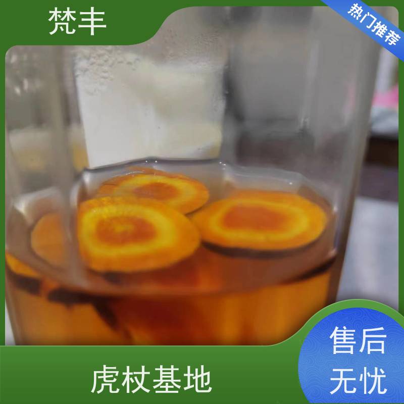 梵丰 虎杖专用除草剂 手选大片原材料 库存充足 