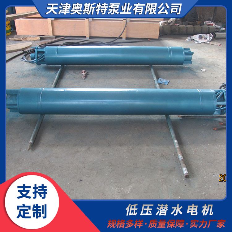 450KW低压潜水电机 适用于瀑布用水 支持定制 助力水下工程顺利进行