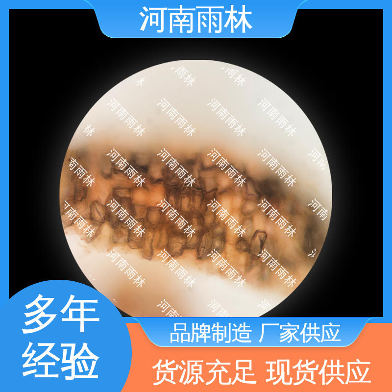 源头工厂 性价比高 植物切片 一对一质检 雨林教育工程