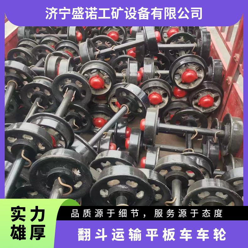 盛诺 固定式矿车轮对 φ300/600铸钢轨道轮 平板车轮对 规格齐全