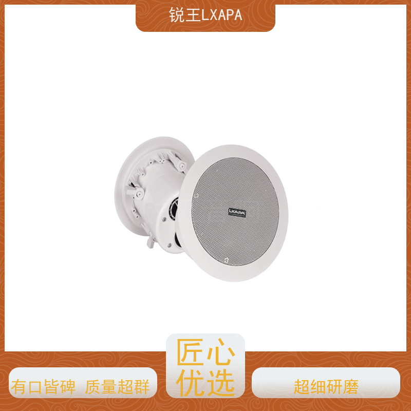 锐王LXAPA 会议系统音响设备 线性阵列音柱 外观简洁 8寸线阵音箱