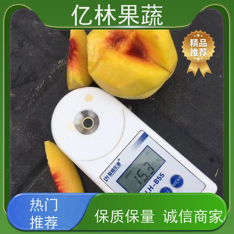 基地培育 冬桃苗 南北方种植 桃树果树苗 果实饱满味道好