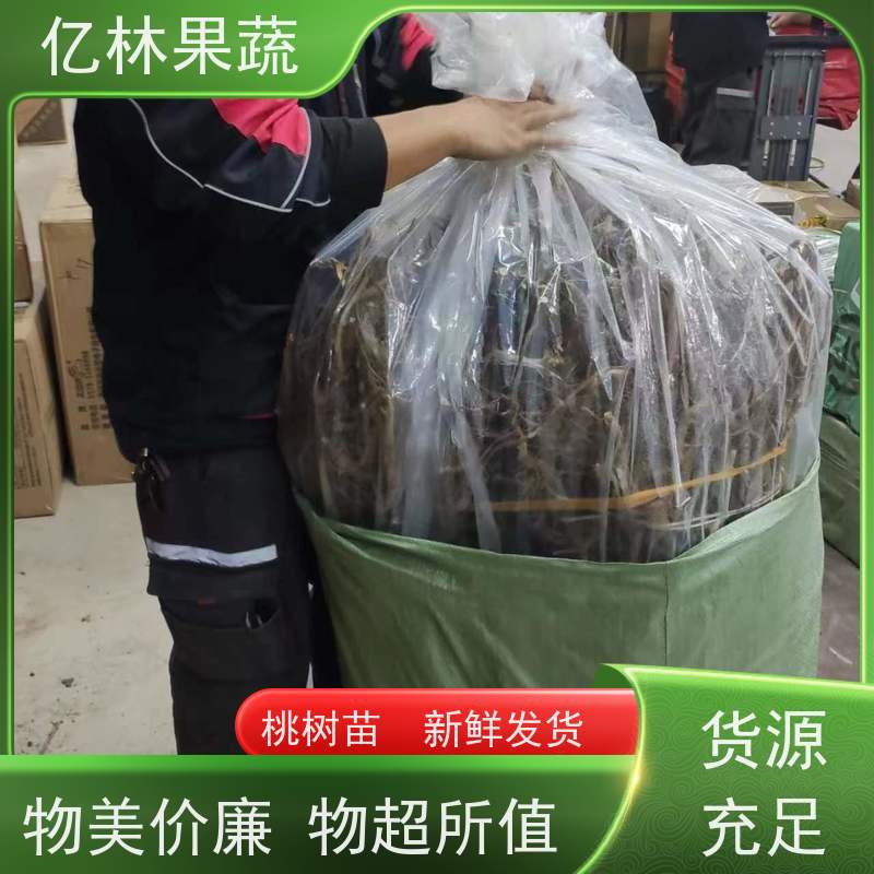 亿林苗木 秋彤桃 晚熟品种桃 口感脆甜 成活率高