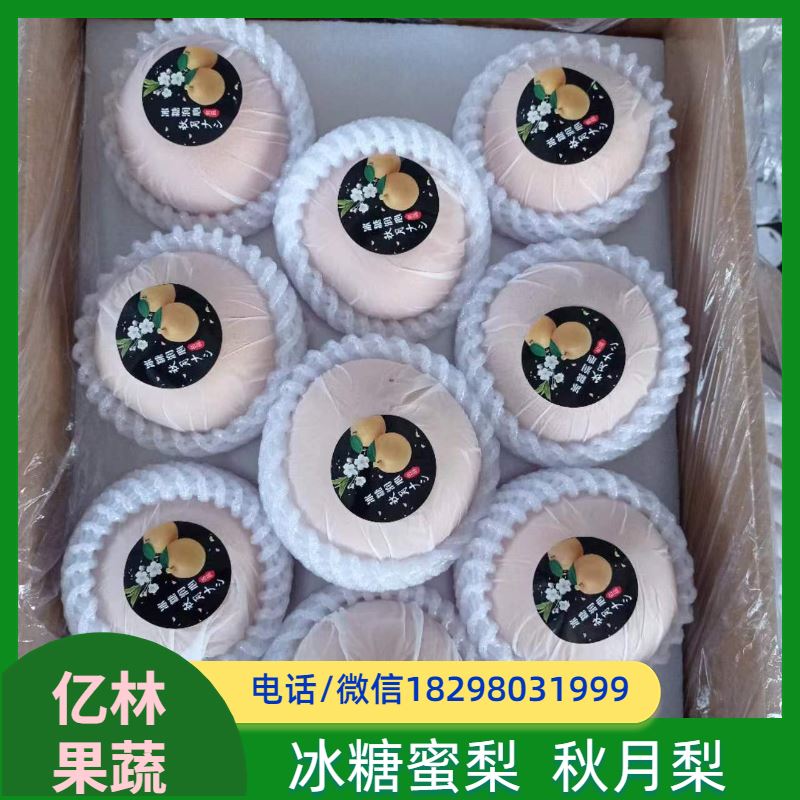 亿林苗木 根系饱满成活率高 盆栽地栽庭院红香酥梨苗 奥红梨树苗