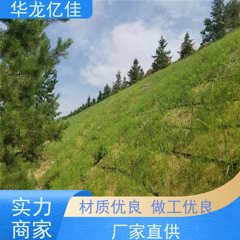 销售 椰丝纤维毯 河道护坡绿化植草毯 施工简单