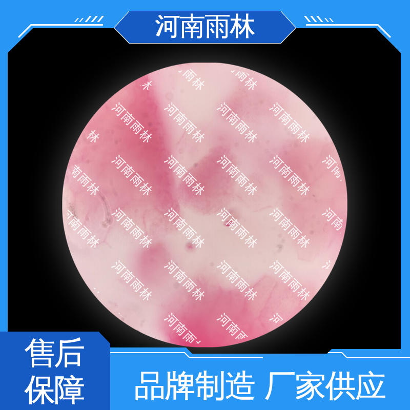 性价比高 厂家销售 细胞清晰 实验标本 雨林教育工程
