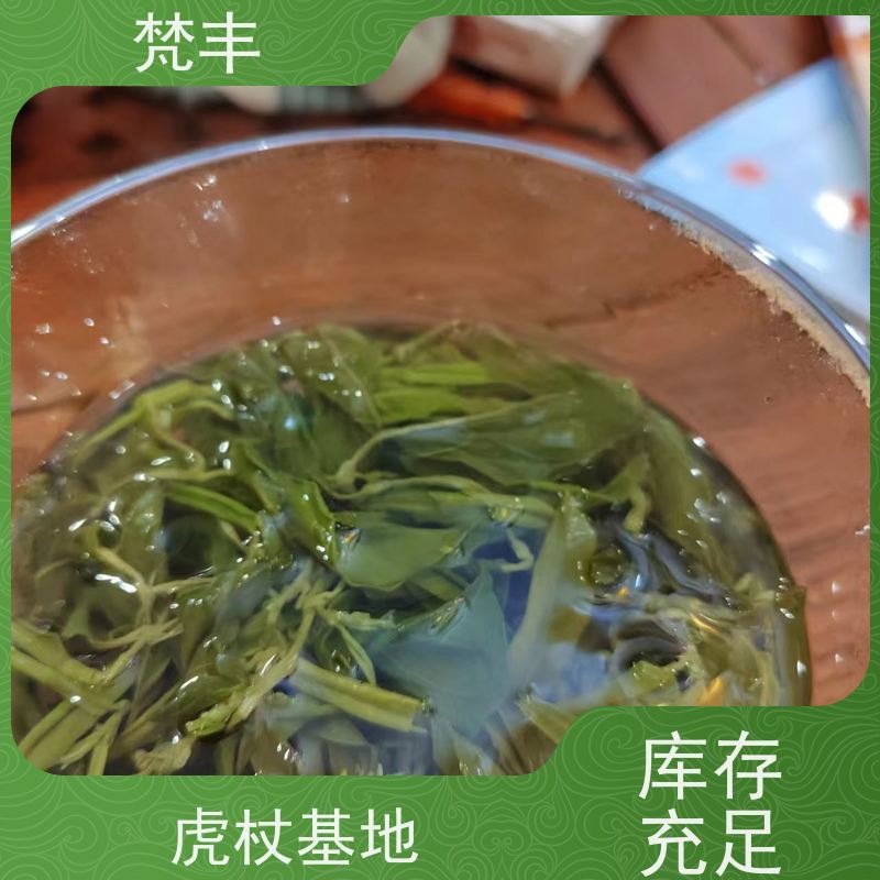 梵丰 虎杖种植技术 阴凉处储存 在线接单 物流配送 