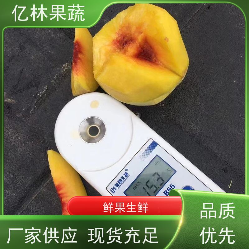 亿林苗木 冬桃苗 现挖现发新鲜 粗两公分 果实饱满味道好