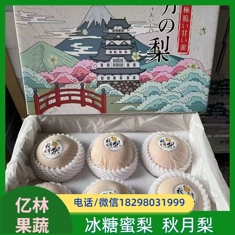 亿林苗木 根系饱满成活率高 新农酥梨 现挖现发 丰水梨树苗
