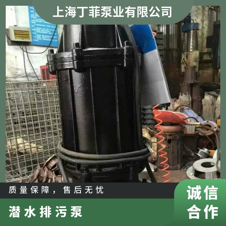 100WQB-40-22 自耦式潜水排污泵厂家 电动 10m~60m 不阻塞 边立式