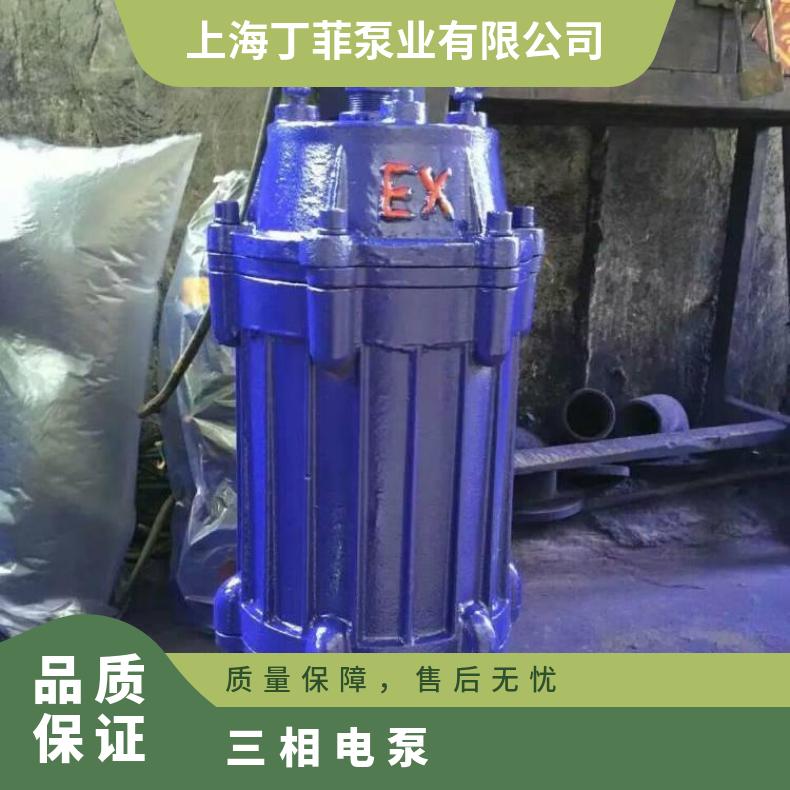 65WQP35-3 三相污水潜水泵 0QW3015 排污泵 10m~60m 不阻塞
