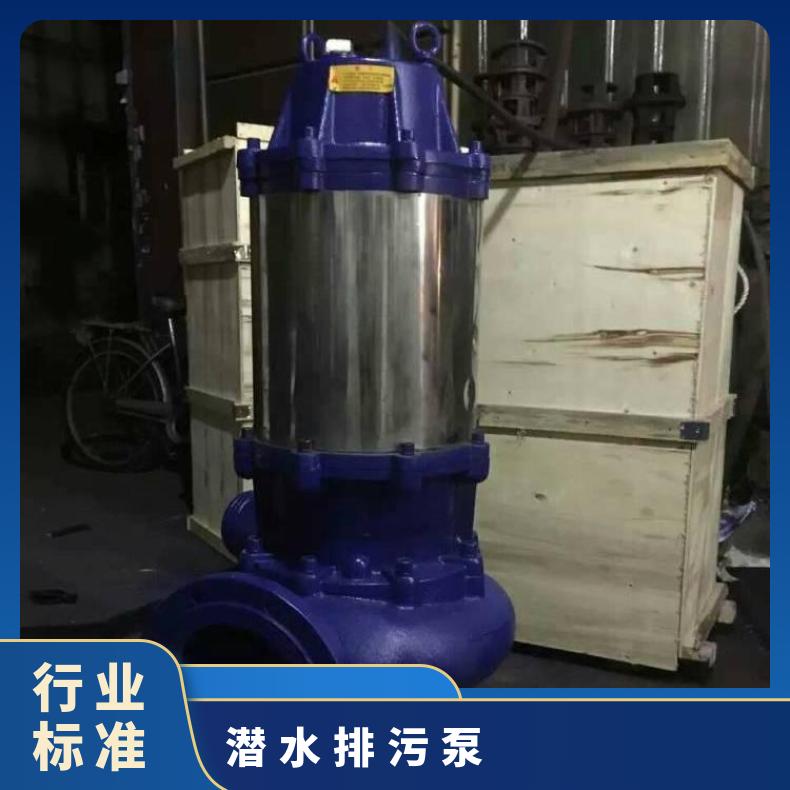 100QWP120-3018.5 自耦式潜水排污泵原理 不阻塞 电动 10m~60m