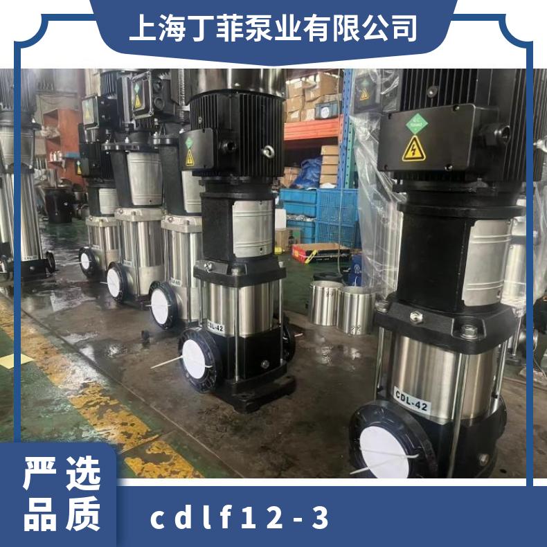CDLF12 轻型立式多级 10-300m3/h 铸铁 常温 丁菲泵业 其他