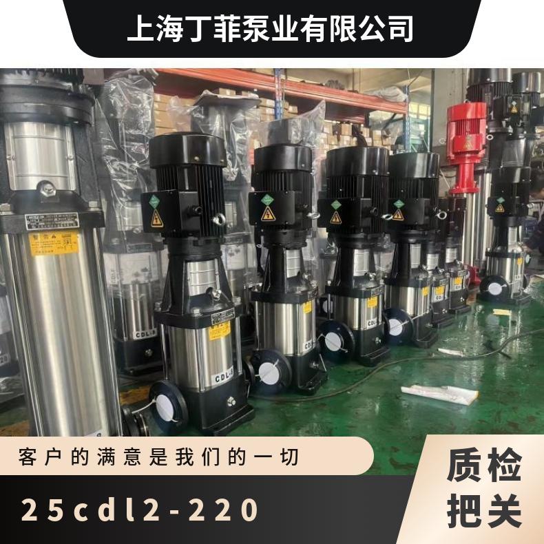 25CDL2-220 立式多级增压 铸铁 CDLCDLF 其他 60% 丁菲泵业 常温