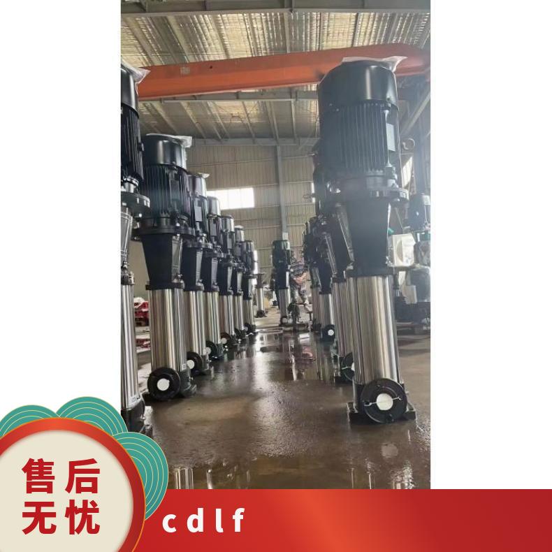 CDLF12 高扬程离心泵 多级 丁菲泵业 铸铁 常温 10-300m3/h 其他