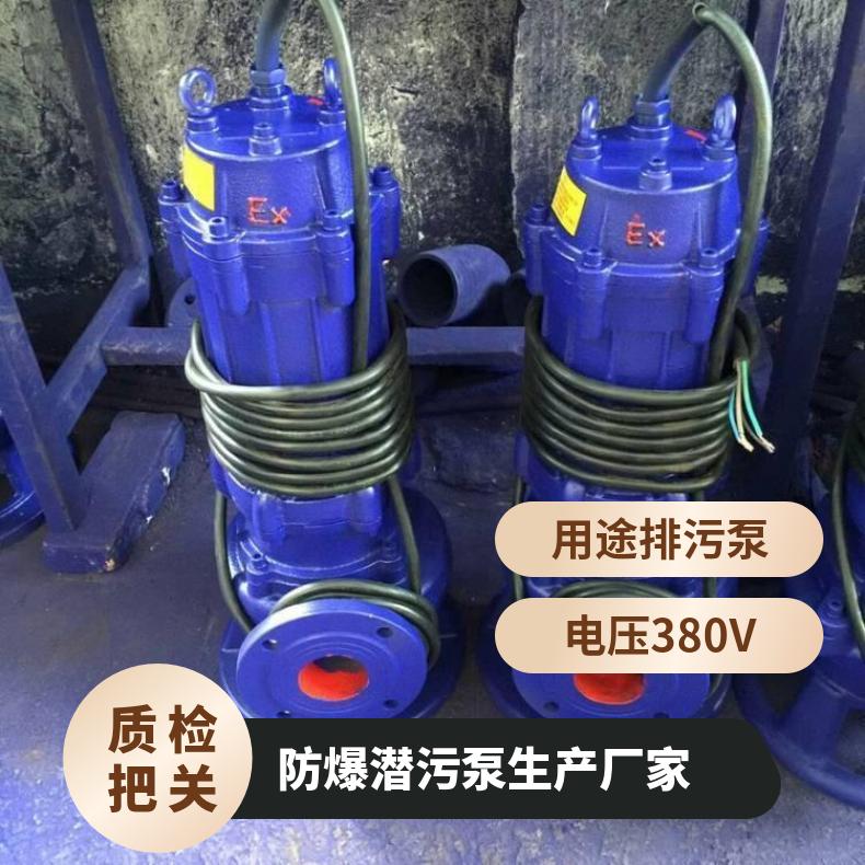 WQ200-3502537 防爆潜污生产厂家 10m~60m 不阻塞 潜水排污泵