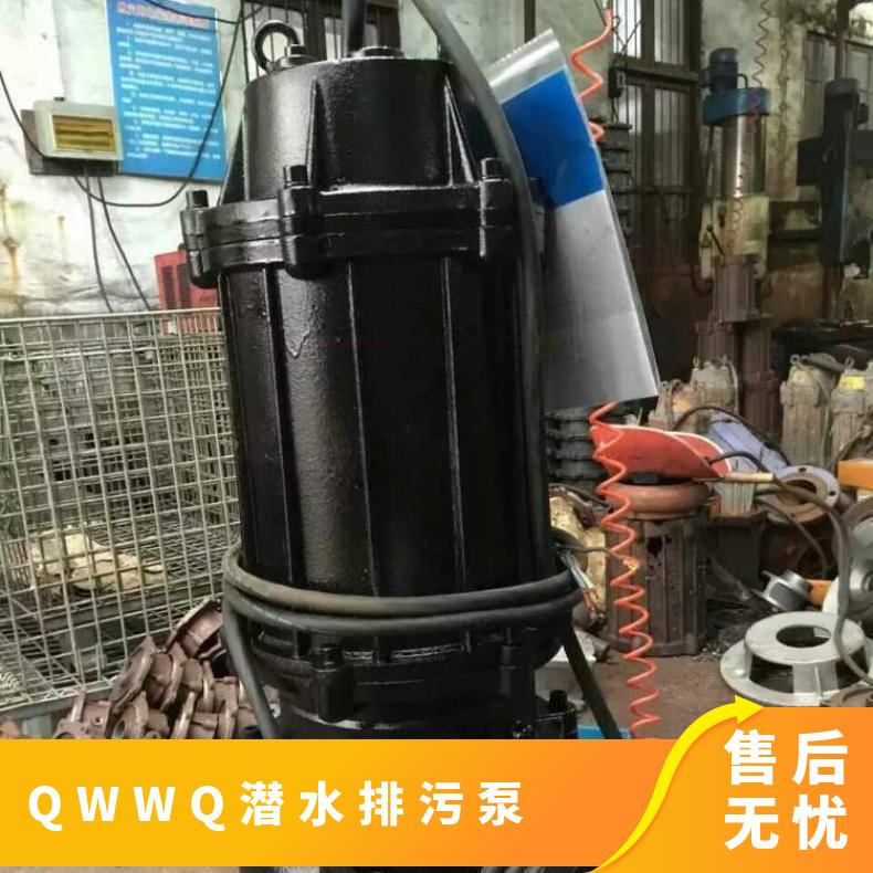 WQ350-15001590 QW/潜水排污泵 10m~60m 电动 边立式 QWB 不阻塞