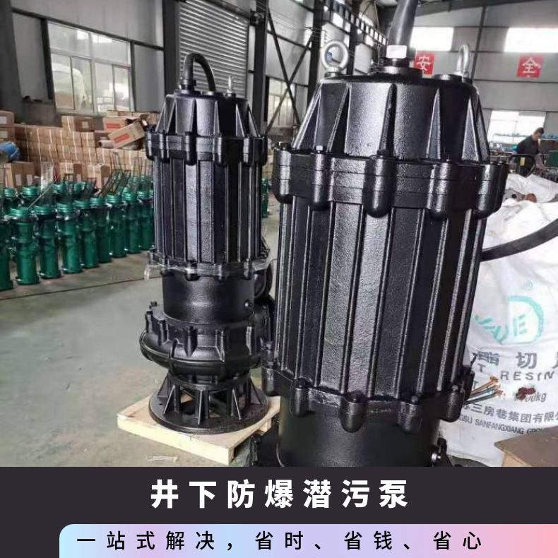 JYWQ150-20010250015 WQB防爆潜污 潜水排污泵 电动 不阻塞