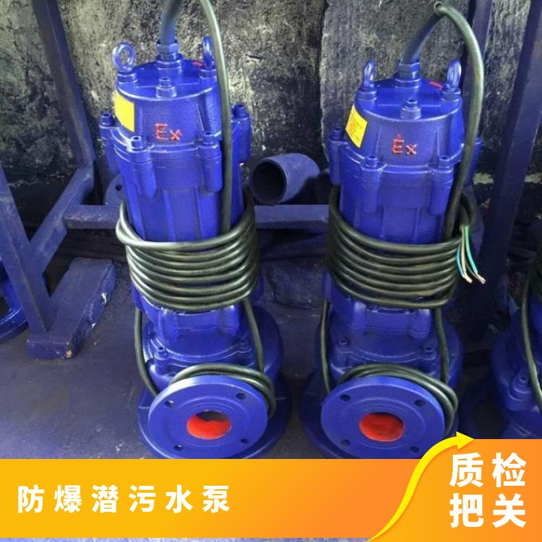 QWR300-650722 ***防爆污水泵 电动 10m~60m 全保排污泵 不阻塞